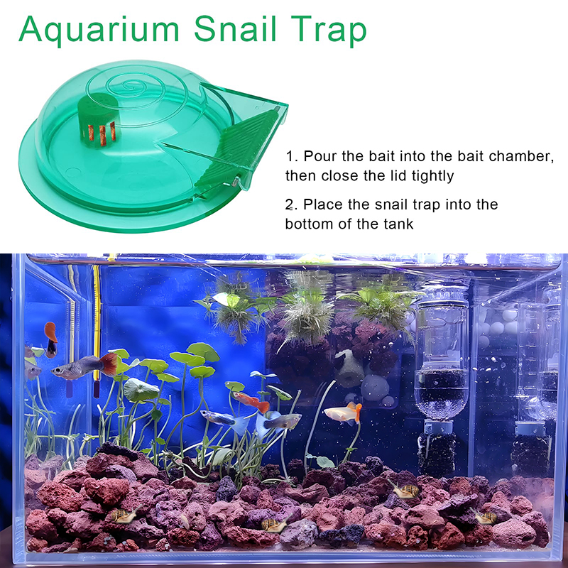 Aquarium Snail Trap, Plastic S - Aquarium Fish Eggs ulasan dan harga
