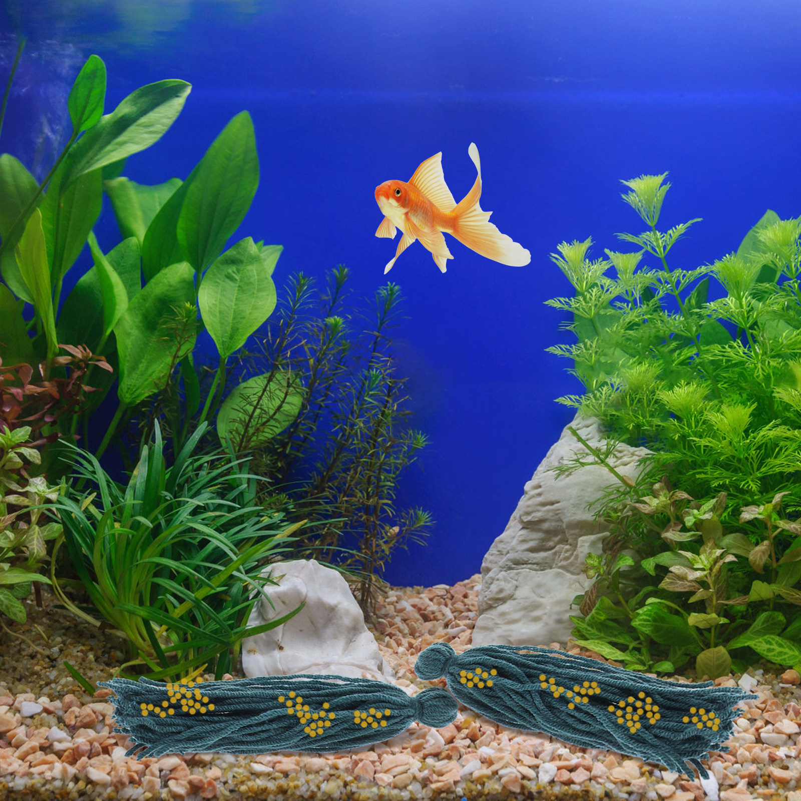 5 Pcs Mop Fish Breeding Spawni - Aquarium Fish Reproduction ulasan dan harga