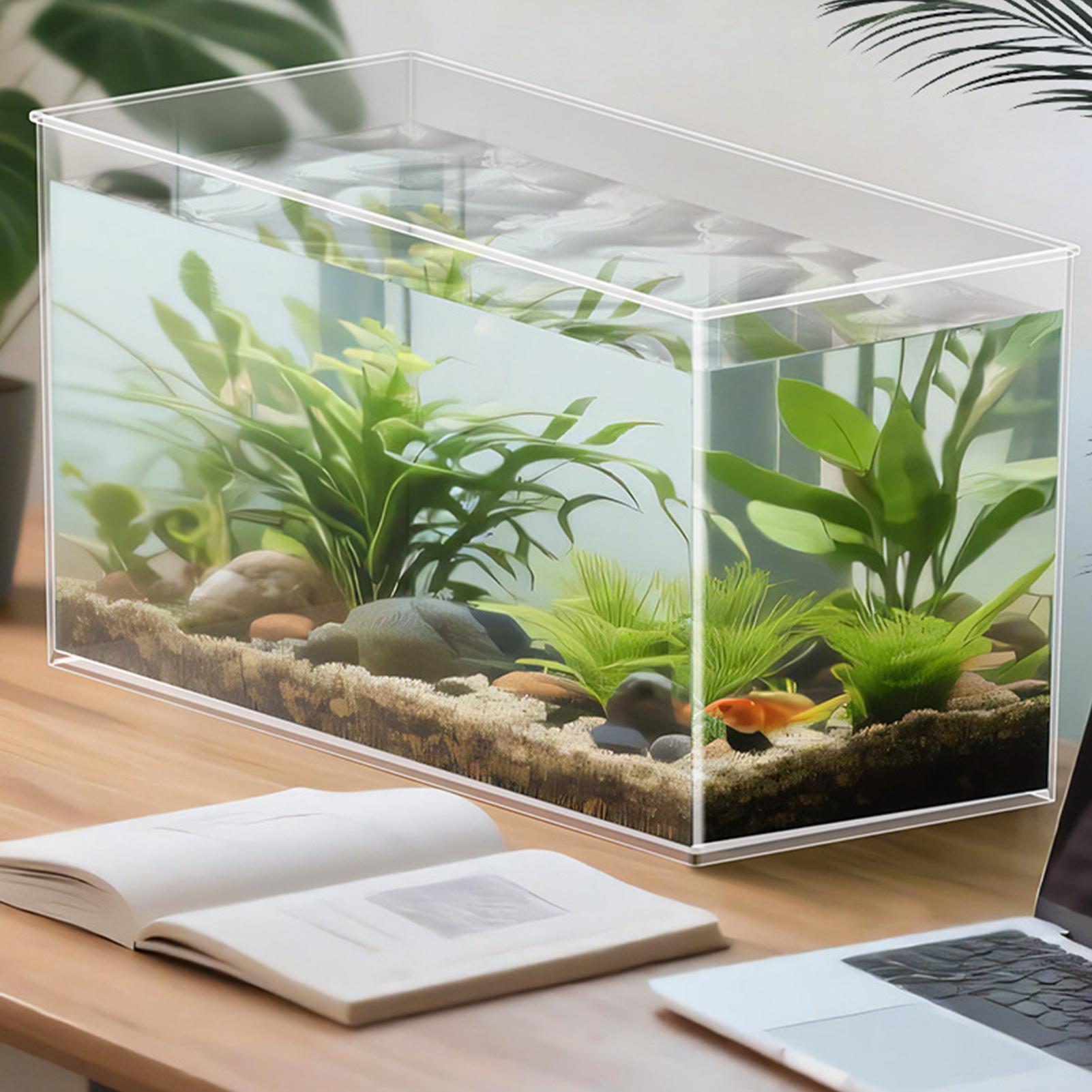 Small Fish Tank Betta Tank Ext - Aquarium Goldfish ulasan dan harga