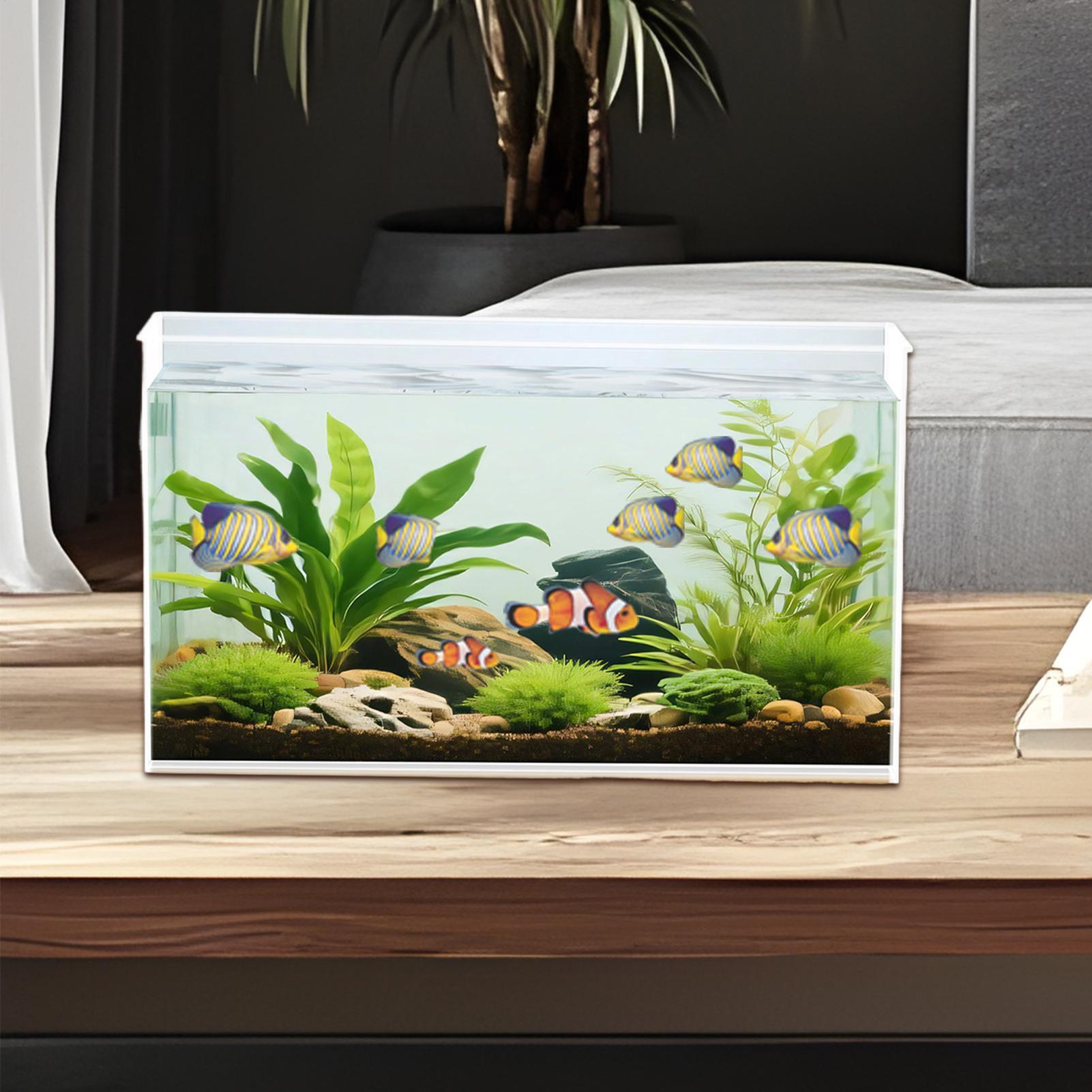 Small Fish Tank Betta Tank Ext - Aquarium Goldfish ulasan dan harga