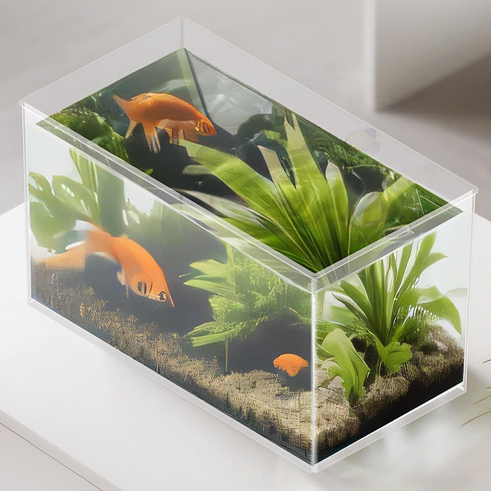 Small Fish Tank Betta Tank Ext - Aquarium Goldfish ulasan dan harga