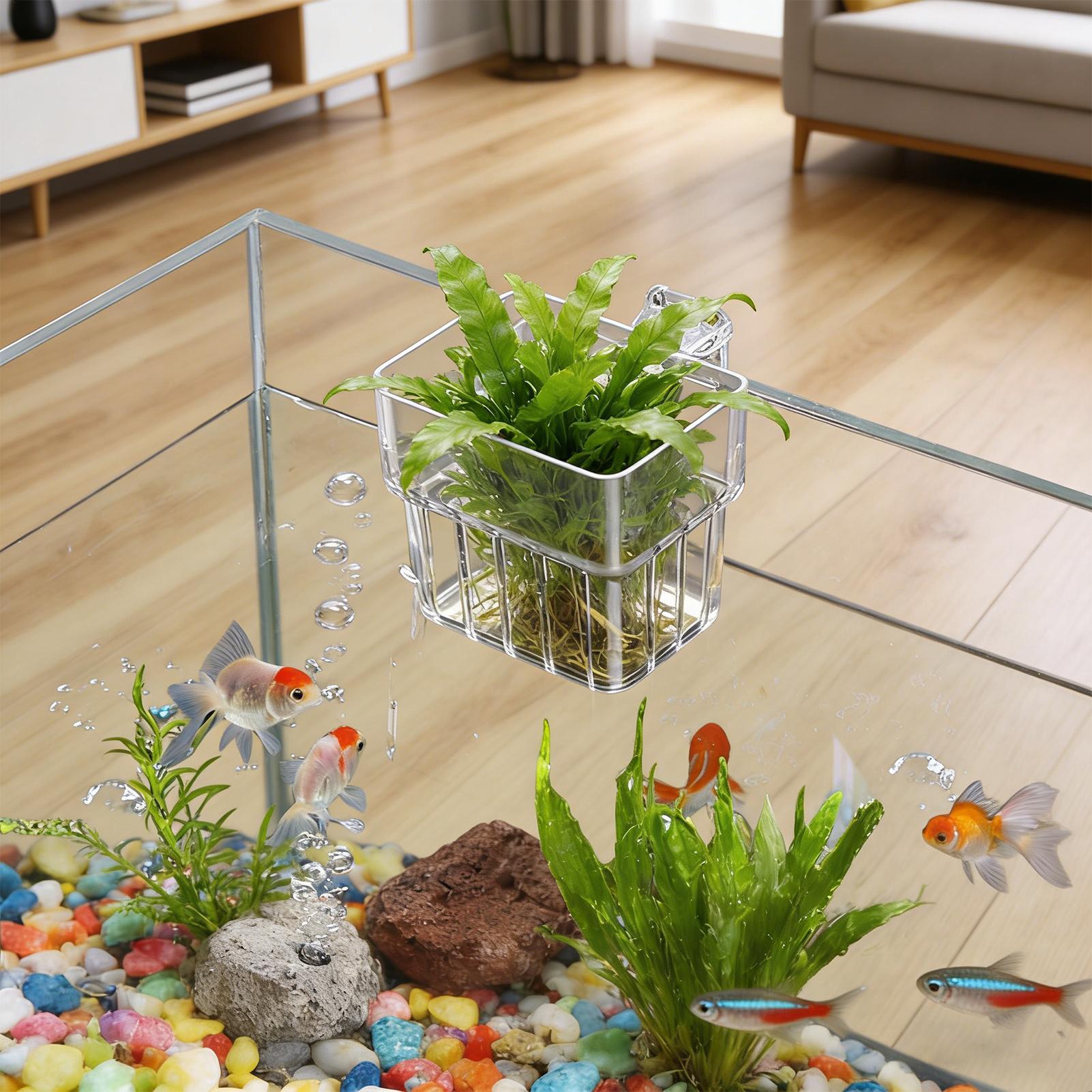 Transparent Hangable Aquarium  - Aquarium Fish Enrichment ulasan dan harga