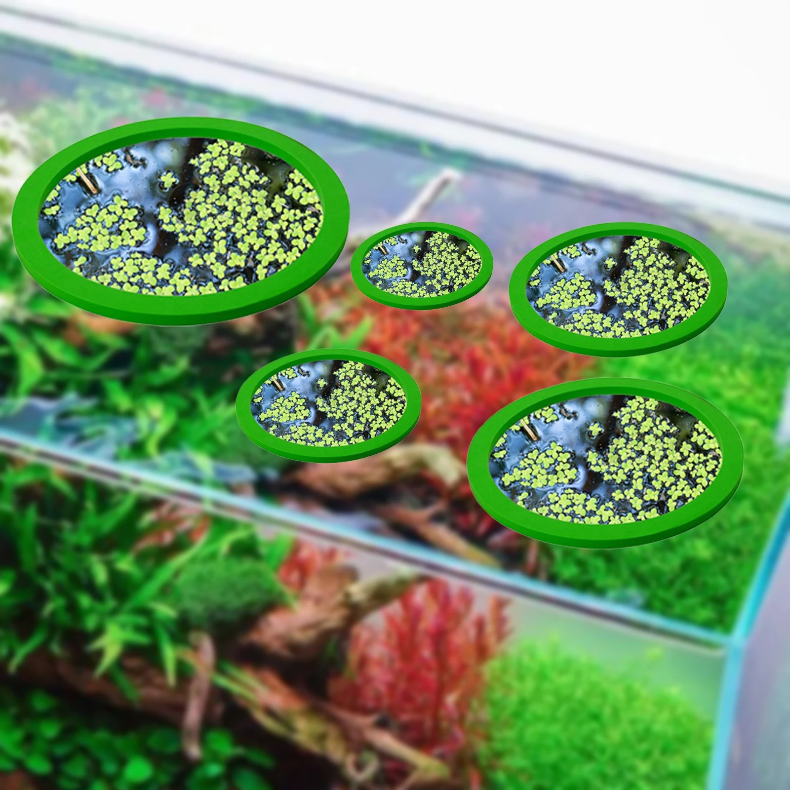 5Pcs EVA Fish Feeding Ring Aqu - Aquarium Fishing ulasan dan harga