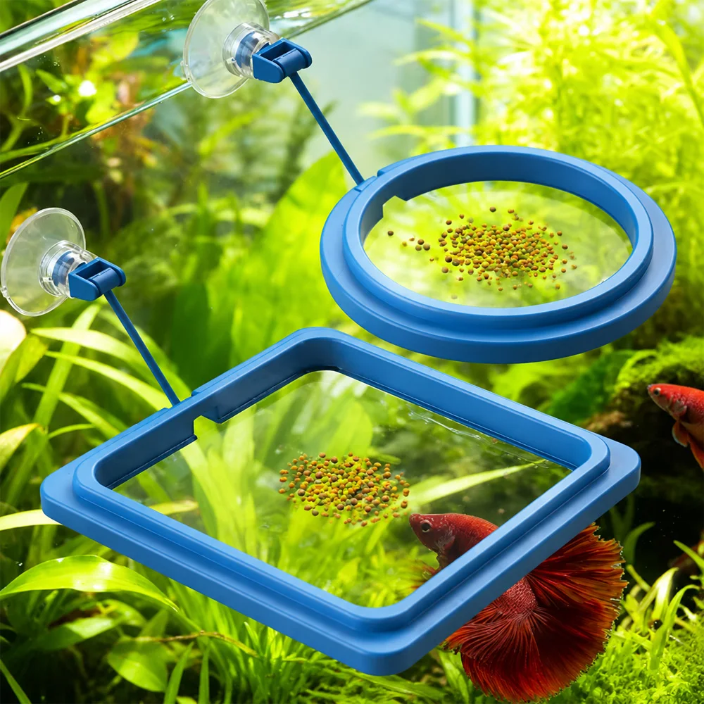 Betta Fish Food Floating Mini  - Aquarium Fish Eggs ulasan dan harga