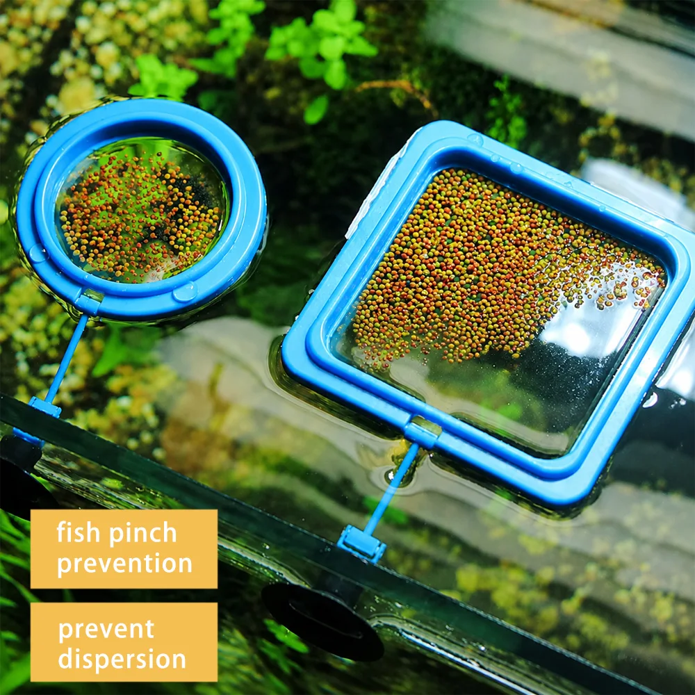 Betta Fish Food Floating Mini  - Aquarium Fish Eggs ulasan dan harga