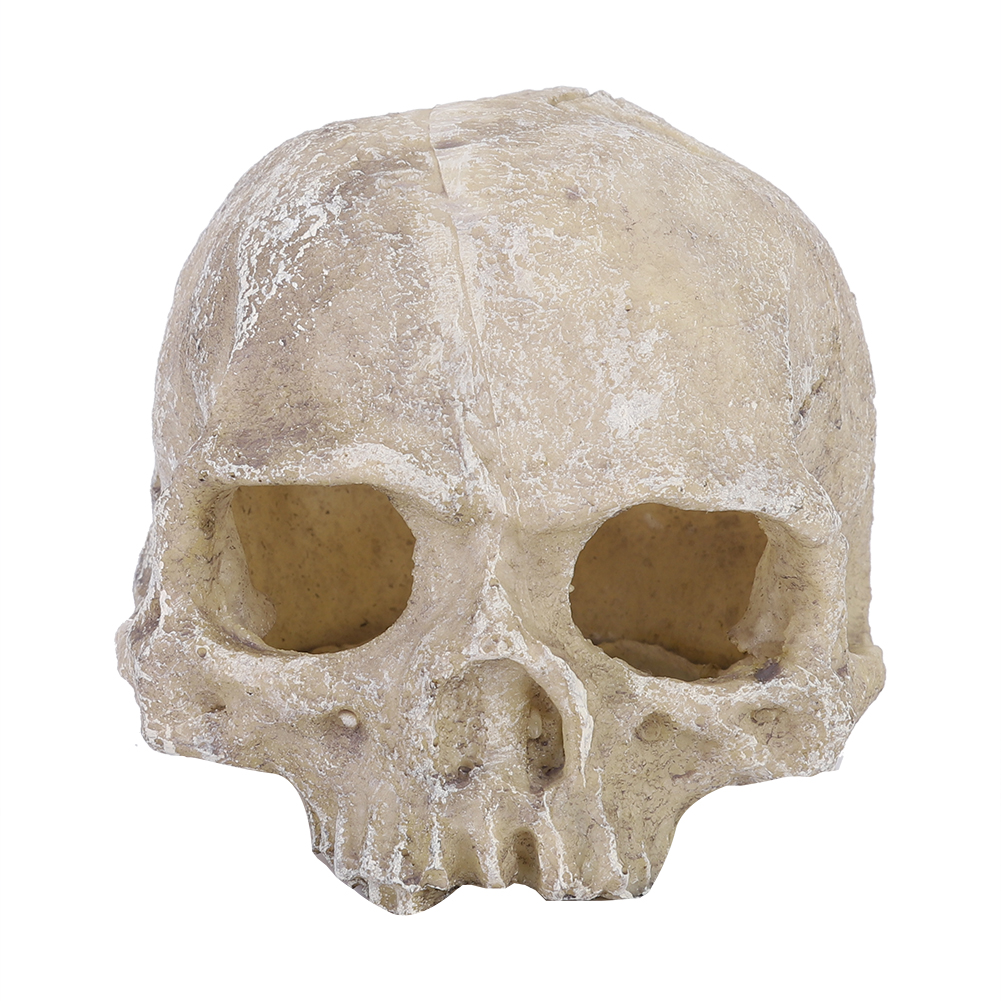 Resin Simulated Head Bone Skul - Aquarium Fish Cave ulasan dan harga