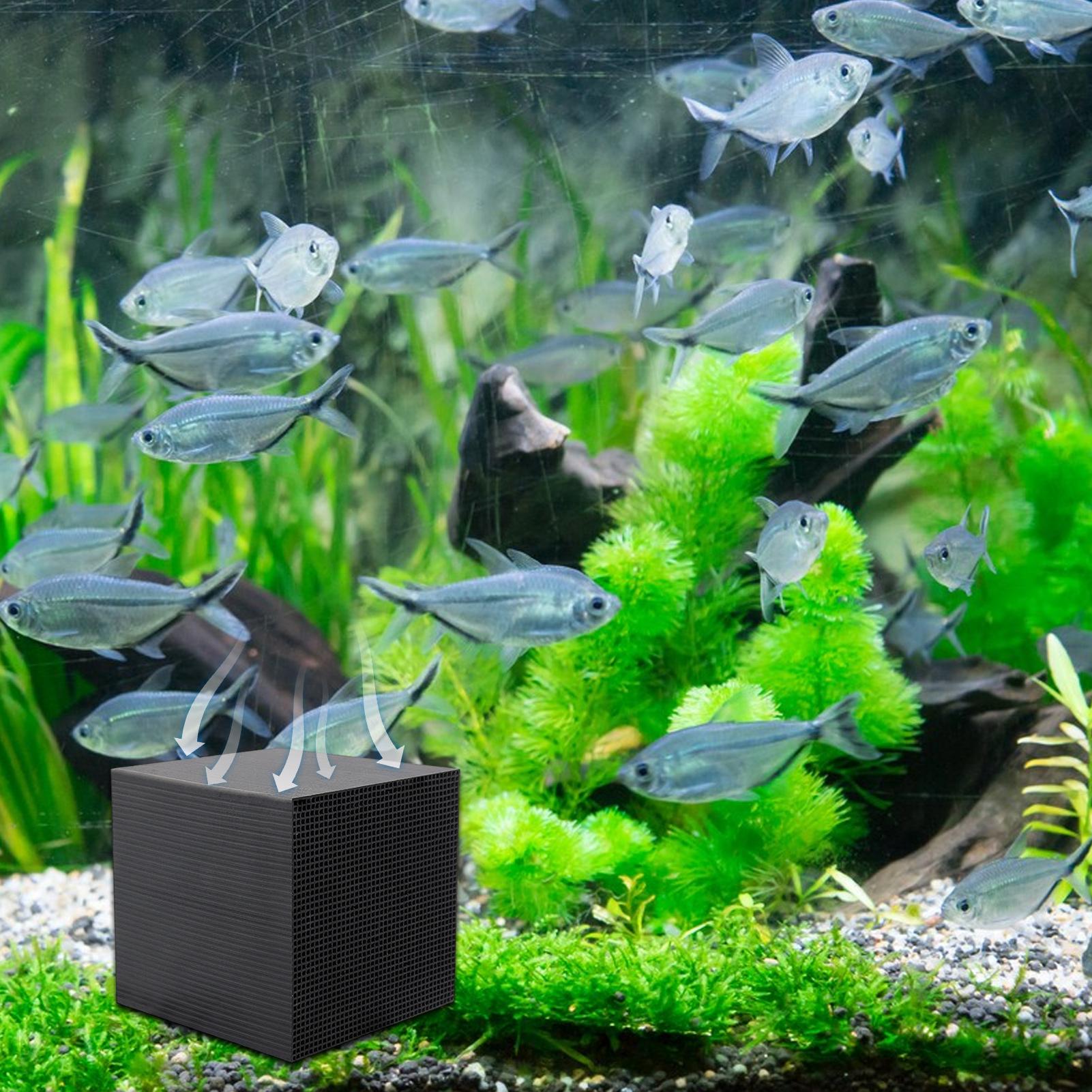 Aquarium Water Purifier Cube W - Aquarium Fish Cave ulasan dan harga