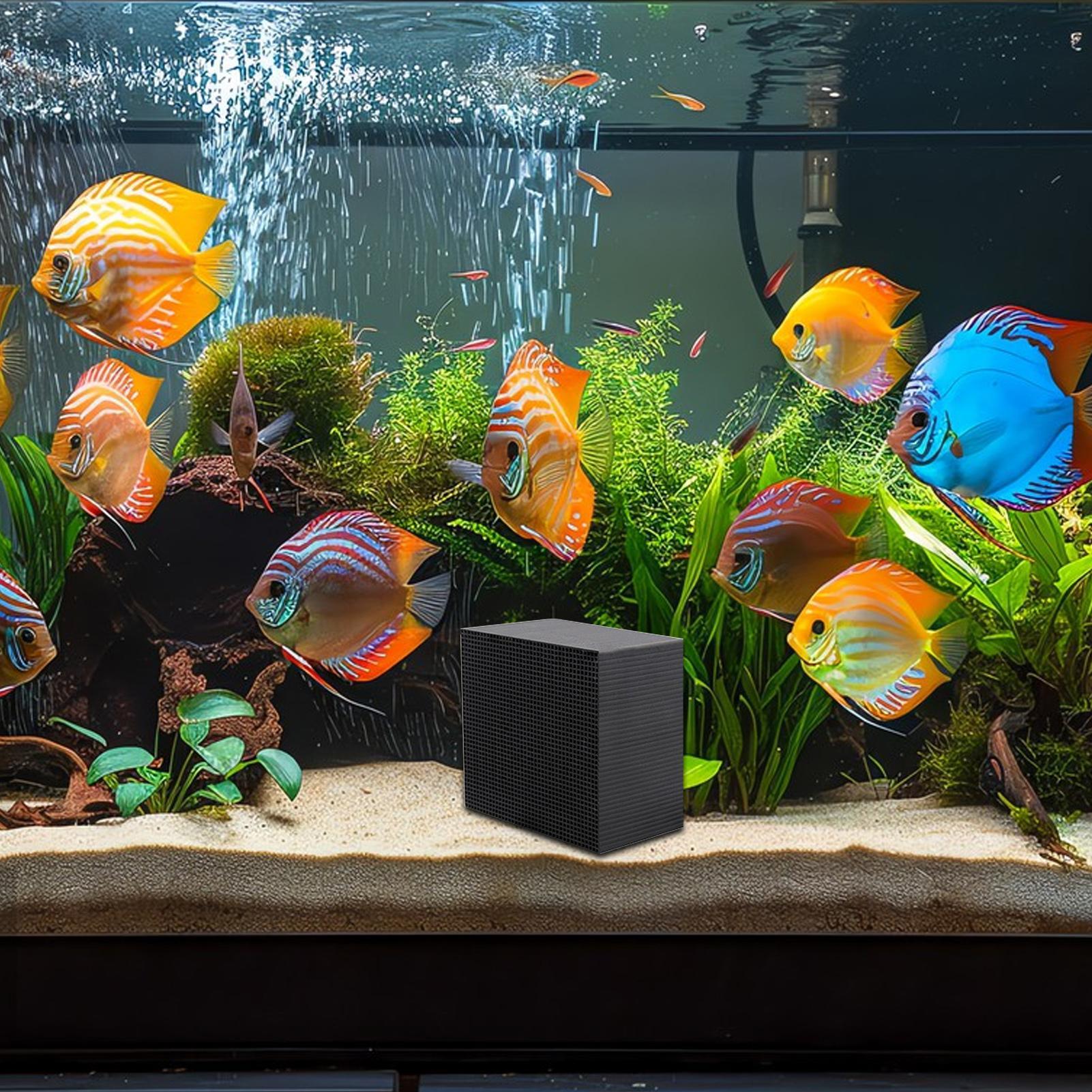 Aquarium Water Purifier Cube W - Aquarium Fish Cave ulasan dan harga