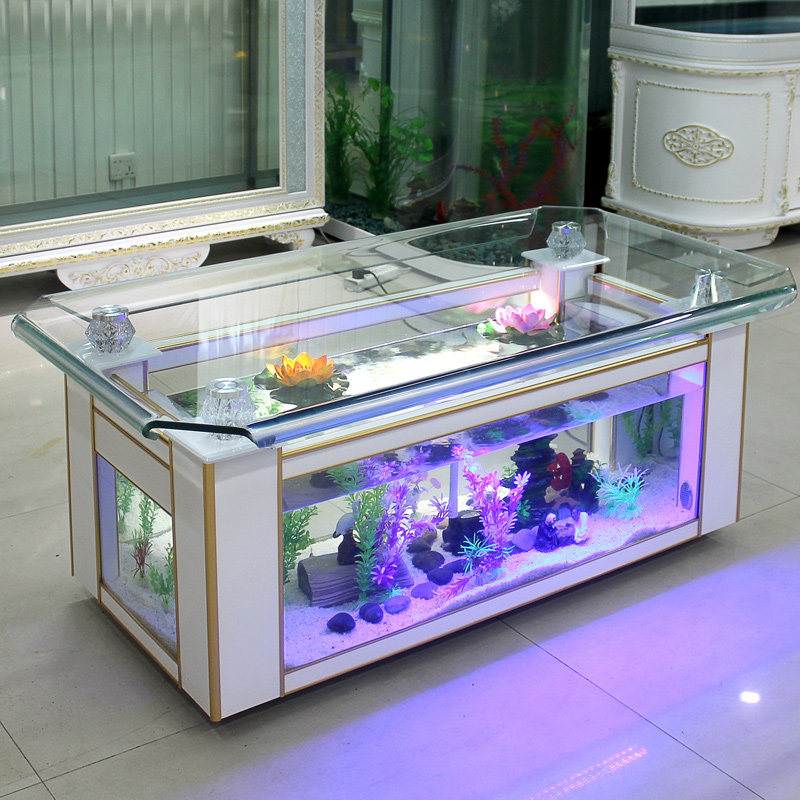 Xihao ecological coffee table  - Aquarium Goldfish ulasan dan harga