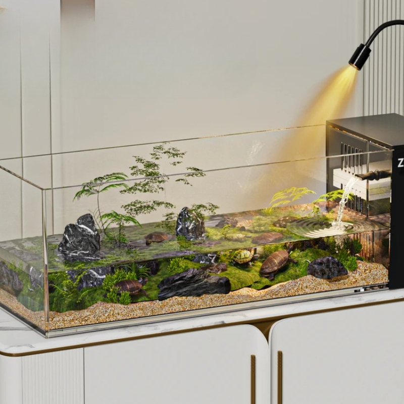 ‌Turtle Aquarium Tank - Fish & - Aquarium Goldfish ulasan dan harga
