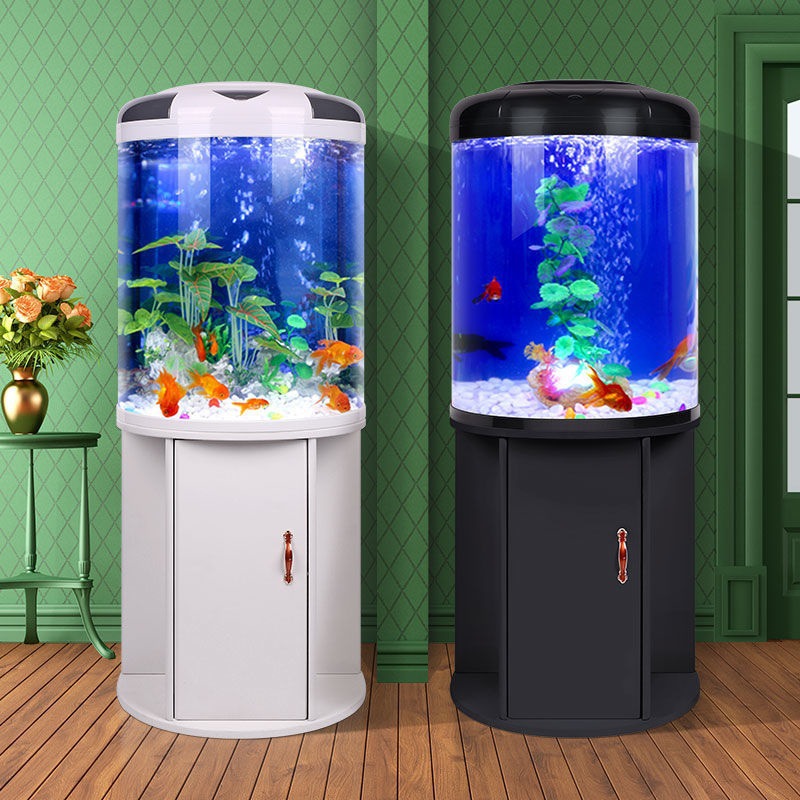 Fish tank living room Semicirc - Aquarium Goldfish ulasan dan harga