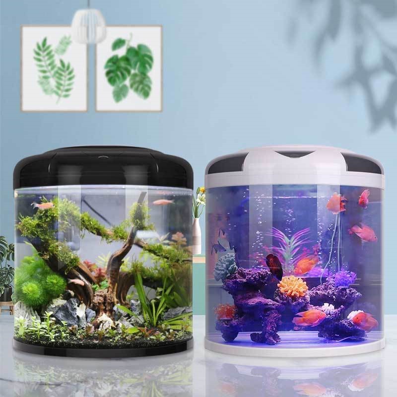 Fish tank living room Semicirc - Aquarium Goldfish ulasan dan harga
