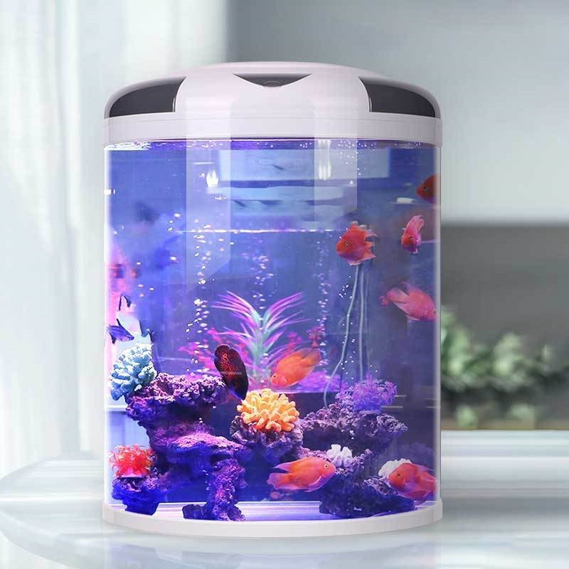Fish tank living room Semicirc - Aquarium Goldfish ulasan dan harga