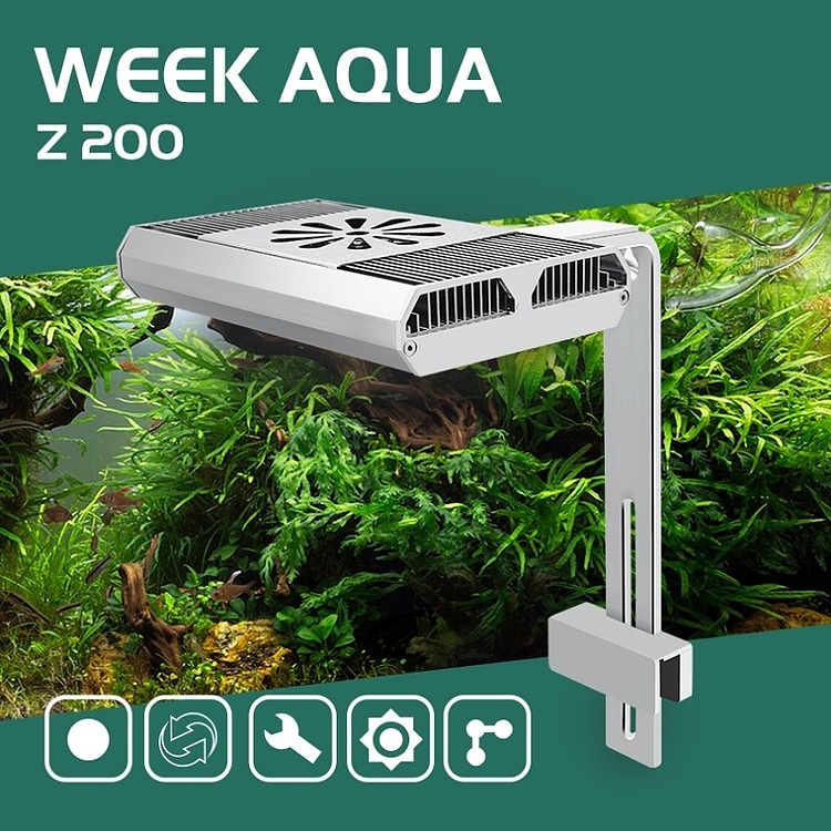 Full Spectrum Fish Tank Light  - Aquarium Fish Usa ulasan dan harga