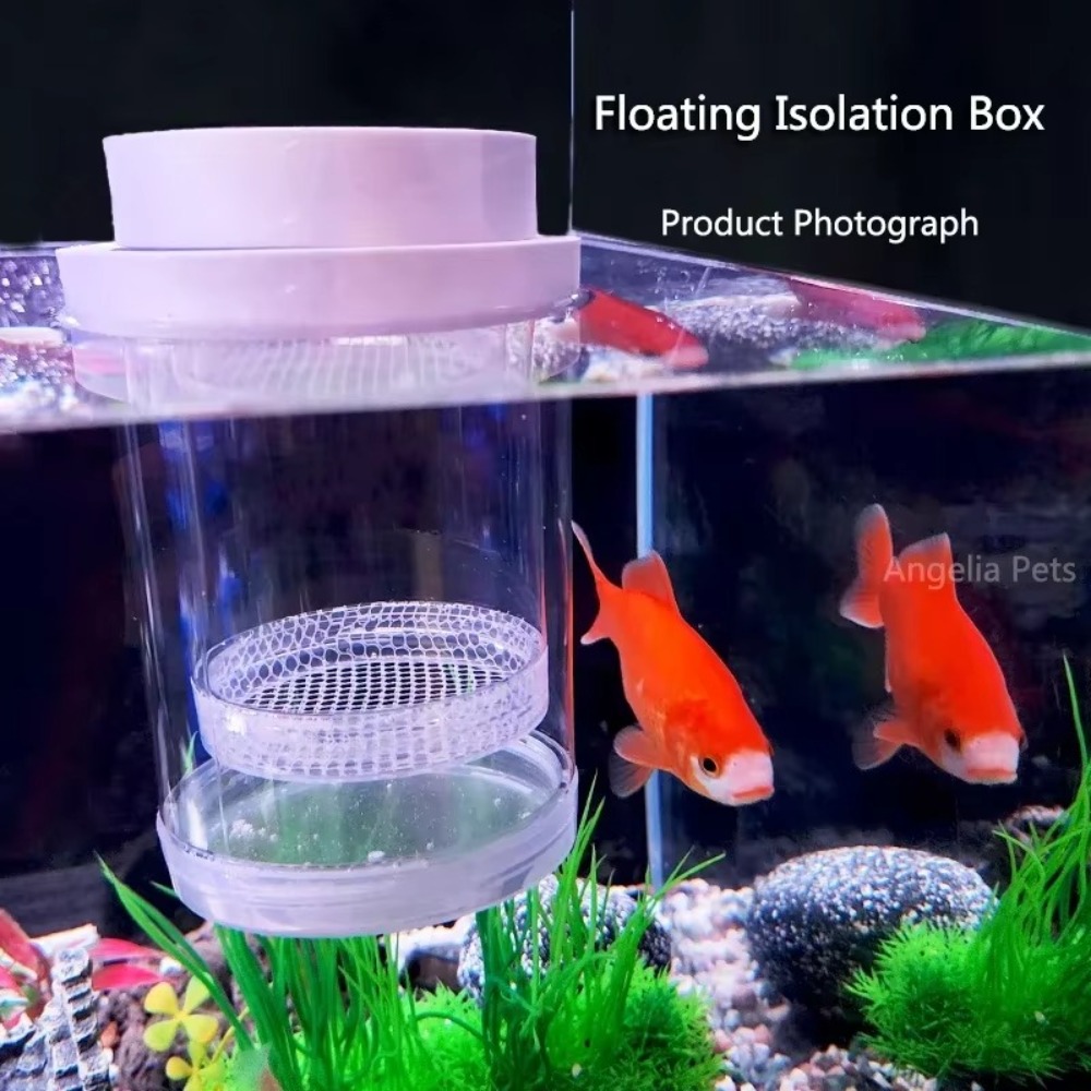 Plastic Floating Fish Breeding - Aquarium Fish Cave ulasan dan harga