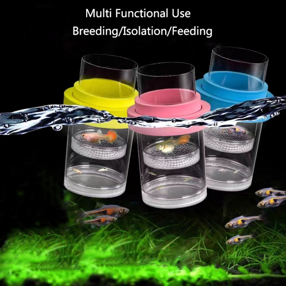 Plastic Floating Fish Breeding - Aquarium Fish Cave ulasan dan harga