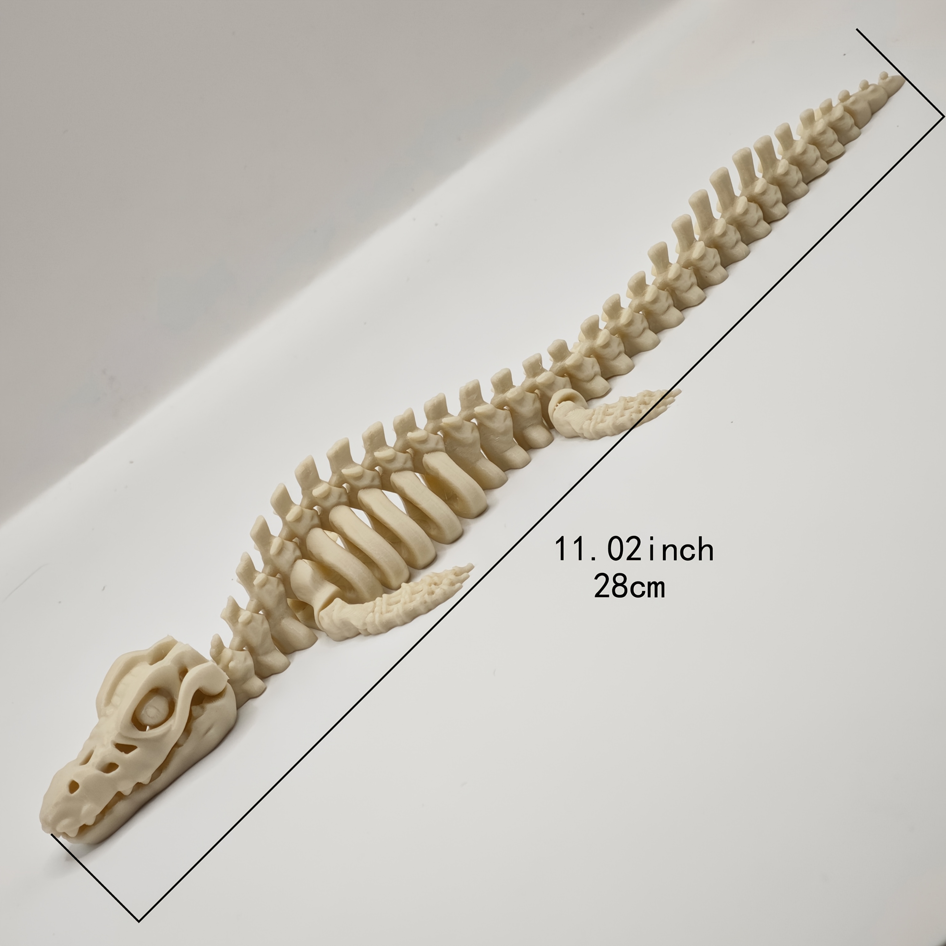 Realistic Canglong Skeleton Re - Aquarium Fish Reproduction ulasan dan harga