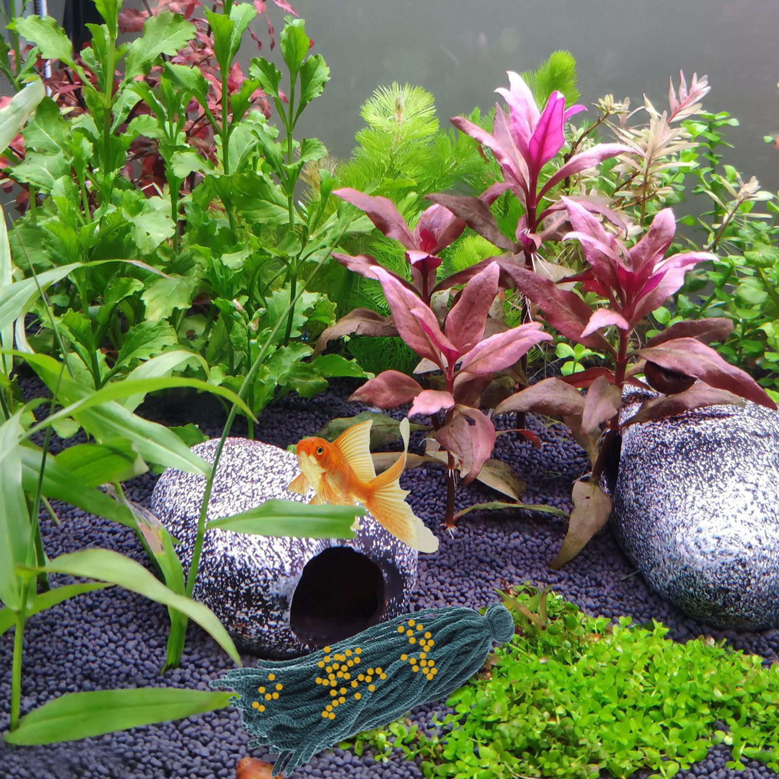 5 Pcs Mop Fish Floating Spawni - Aquarium Fish Reproduction ulasan dan harga