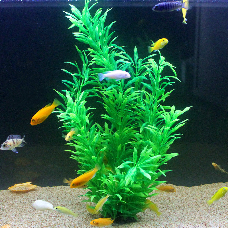 50CM Artificial Fish Tank Rare - Aquarium Fish Enrichment ulasan dan harga