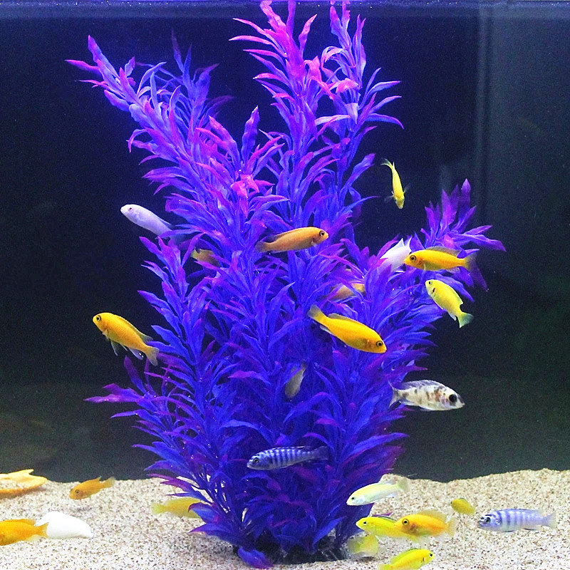 50CM Artificial Fish Tank Rare - Aquarium Fish Enrichment ulasan dan harga