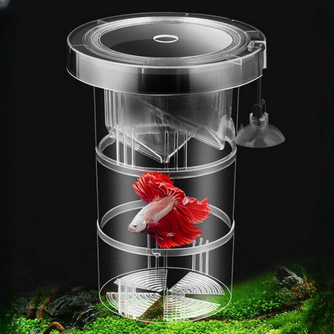 Acrylic Floating Fish Breeding - Aquarium Fish Cave ulasan dan harga
