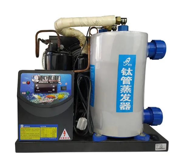 High Quality Industrial Small  - Aquarium Fish High Price ulasan dan harga