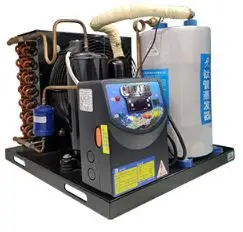 High Quality Industrial Small  - Aquarium Fish High Price ulasan dan harga