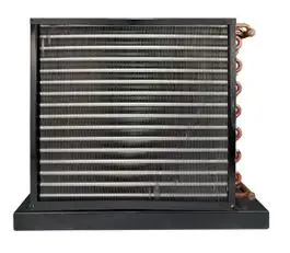 High Quality Industrial Small  - Aquarium Fish High Price ulasan dan harga