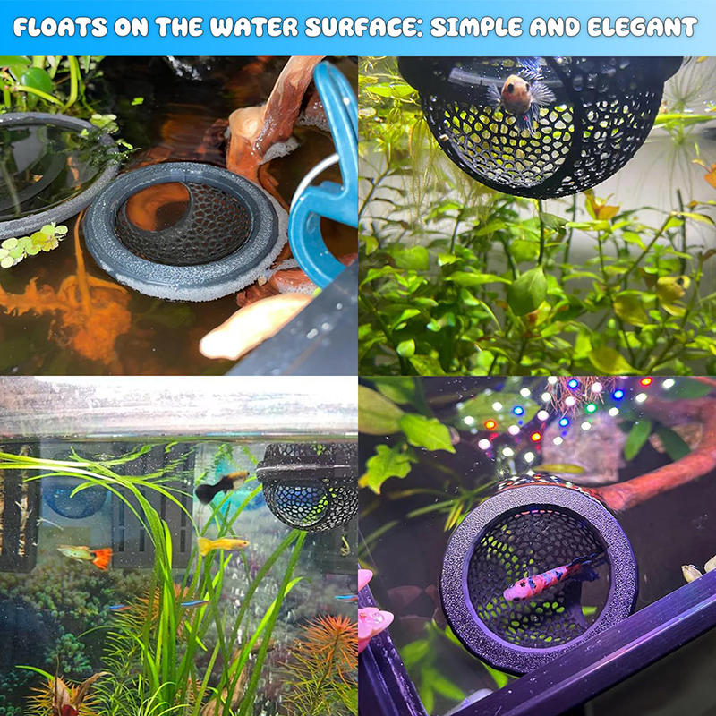 Ring FLoatinG Betta Hide Shrim - Aquarium Fish Cave ulasan dan harga