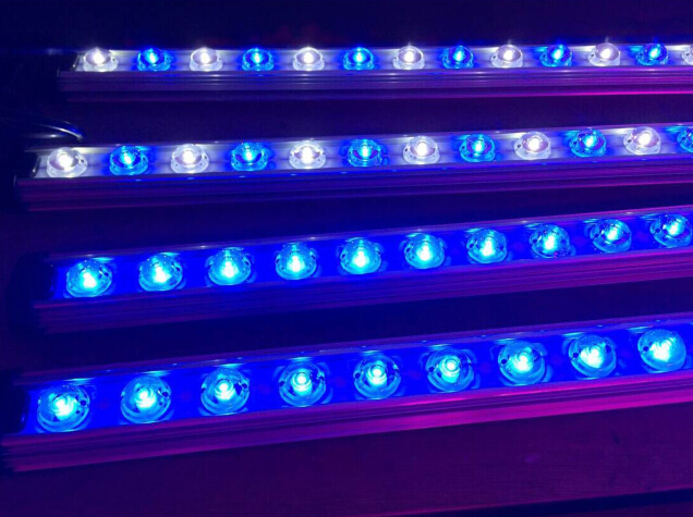 Aquarium Led Lighting 30w 45w  - Aquarium Fish Usa ulasan dan harga