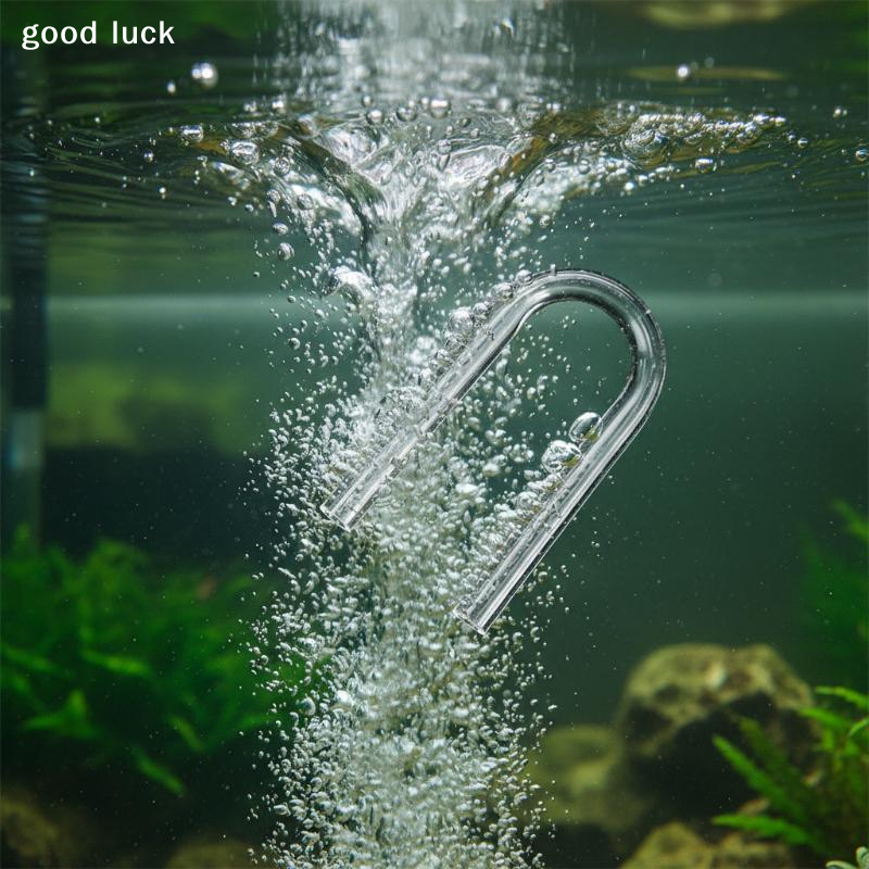 5Pcs U Shape Tube Acrylic Aqua - Aquarium Goldfish ulasan dan harga