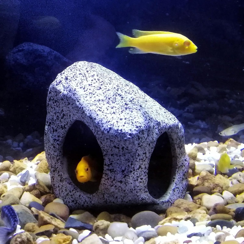 Fish Tank Cave Stone Landscapi - Aquarium Fish Enrichment ulasan dan harga