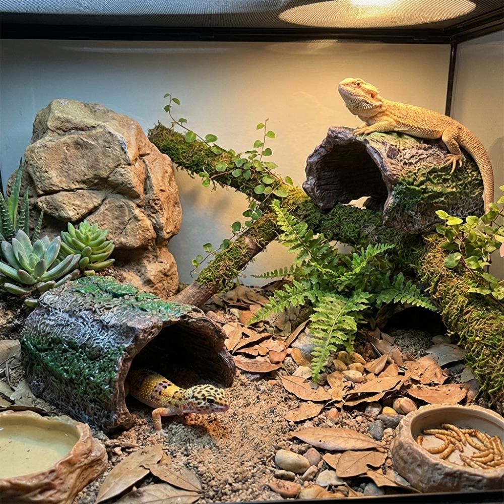 Simulation Reptile Hideout Hol - Aquarium Fish Cave ulasan dan harga