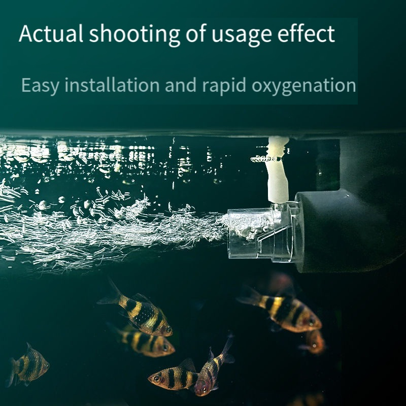 Oxygen Diffuser Pipe Filter At - Aquarium Fish Without Oxygen ulasan dan harga