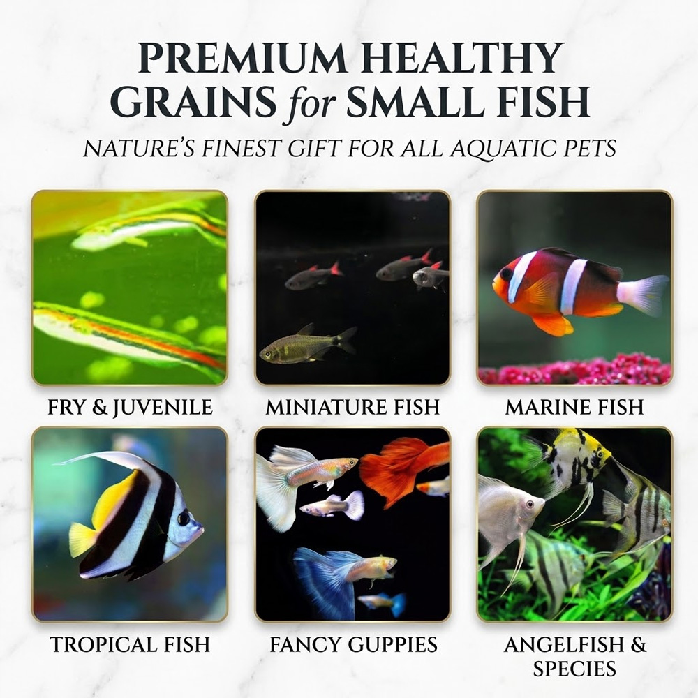 Natural Small Fish Food Brine  - Aquarium Fish Eggs ulasan dan harga