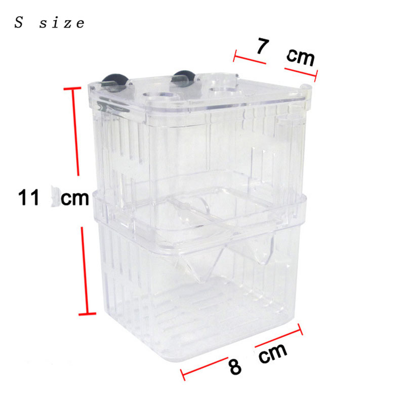 Peacock Fish Breeding Isolatio - Aquarium Fish Cave ulasan dan harga