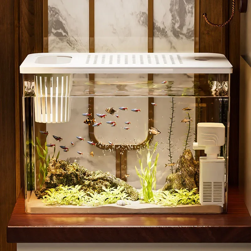 PET+ABS Fish Tank New Transpar - Aquarium Goldfish ulasan dan harga