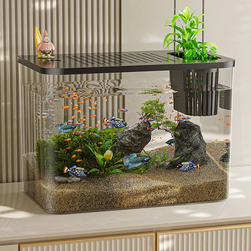 PET+ABS Fish Tank New Transpar - Aquarium Goldfish ulasan dan harga
