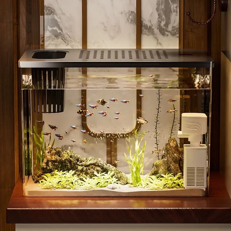 PET+ABS Fish Tank New Transpar - Aquarium Goldfish ulasan dan harga