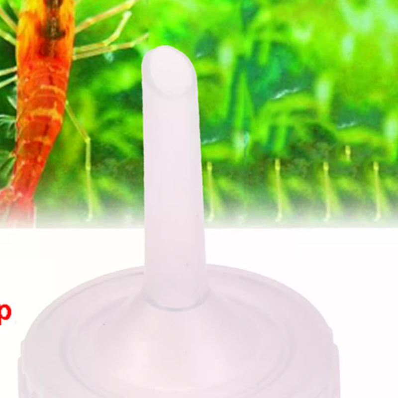 10Pcs Aquarium Brine Shrimp Ar - Aquarium Fish Eggs ulasan dan harga