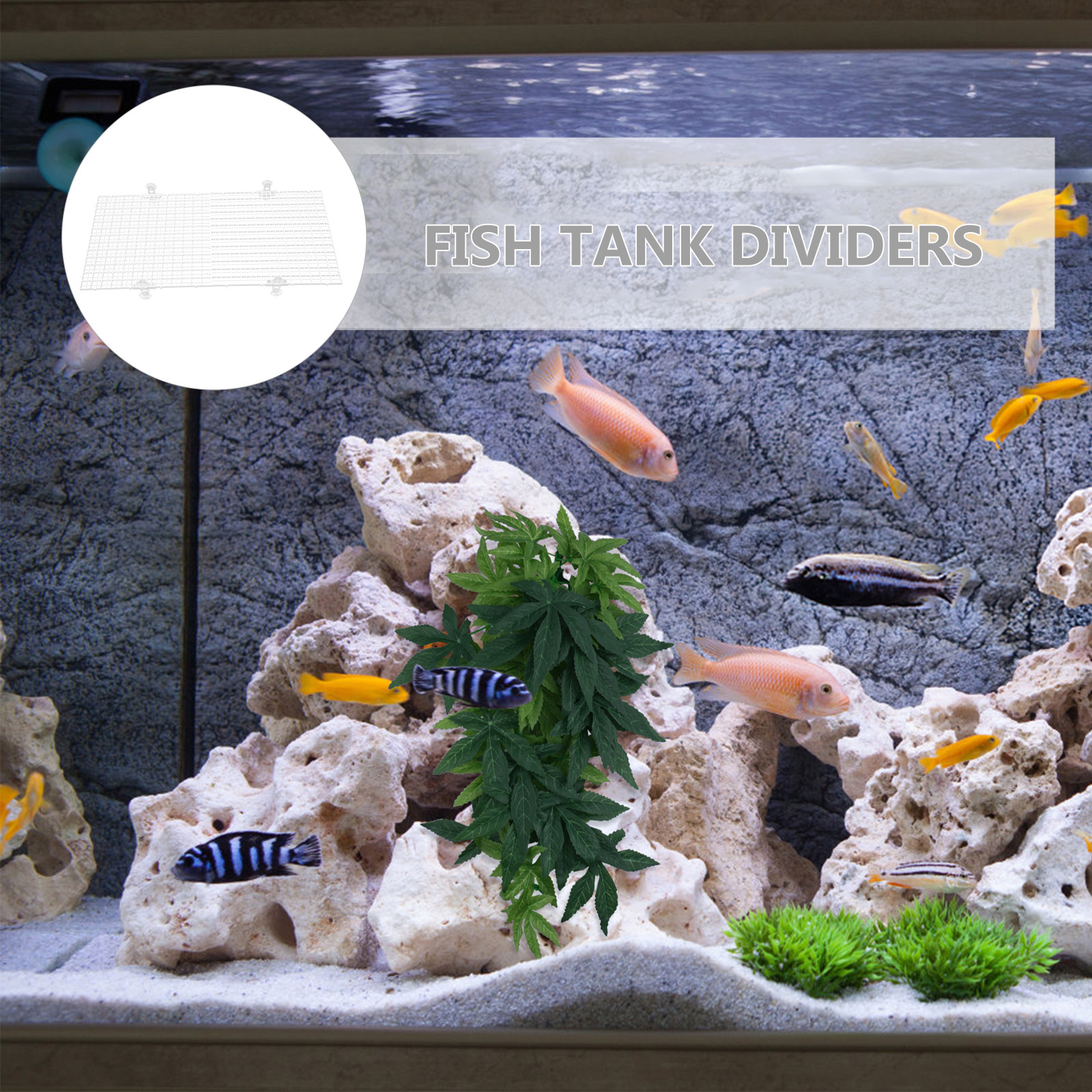 2Pcs Fish Tank Divider Plastic - Aquarium Fish Reproduction ulasan dan harga